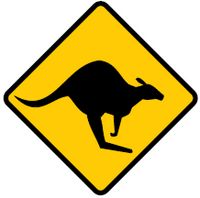look out for kangaroos